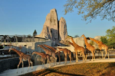 Parc Zoologique de Paris  - Open ticket