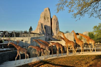 Parc Zoologique de Paris  - Open ticket